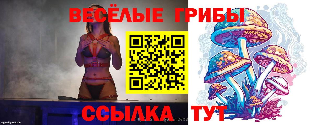 Галлюциногенные грибы мухоморы Донской